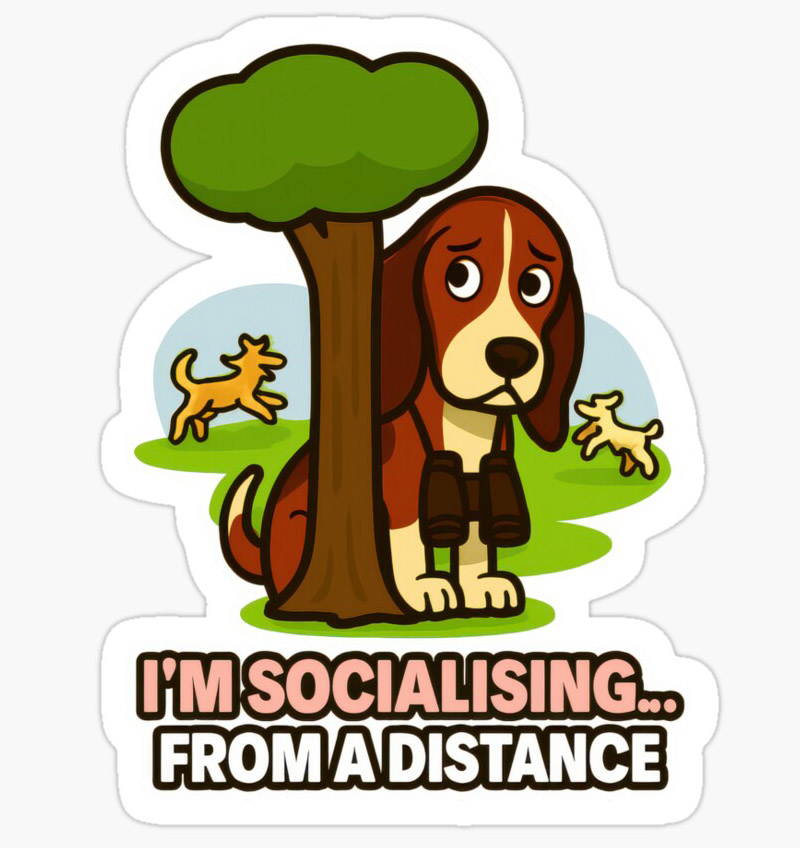 Redbubble - Sticker - I'm Socialising From A Distance